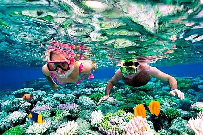 1 Hour Private Snorkeling Activity In Montego Bay - From your resort to Montego Bay’s shore