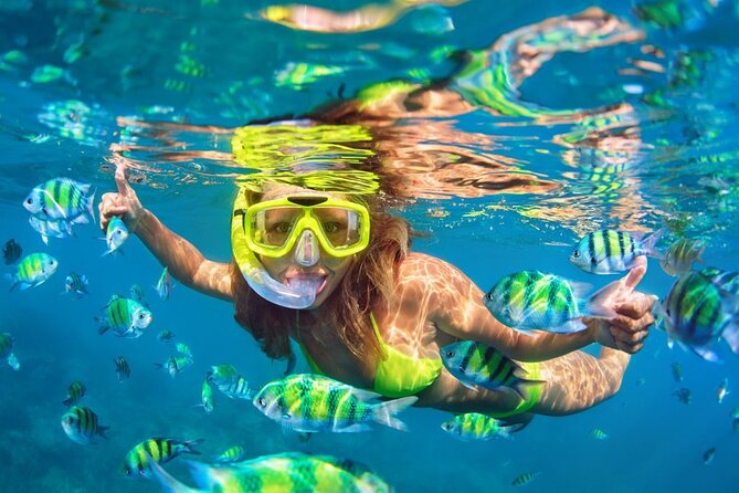 1 Hour Private Snorkeling Activity In Montego Bay - Why the private format can be worth the price