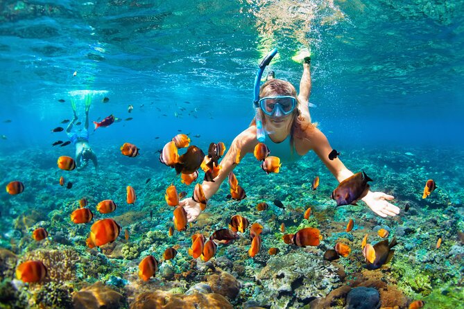 1 Hour Private Snorkeling Activity In Montego Bay - Who will enjoy this Montego Bay snorkeling trip