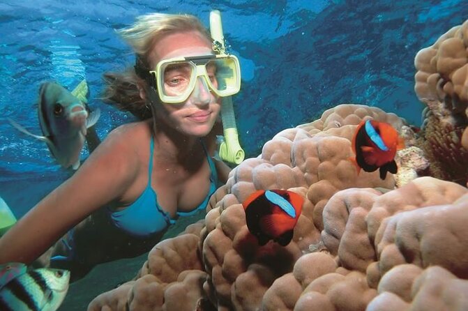 1 Hour Private Snorkeling Activity In Montego Bay - Cameras, comfort, and what to bring