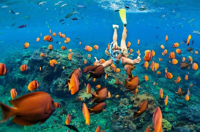 1 Hour Private Snorkeling Activity In Montego Bay - Timing, booking, and cancellation details