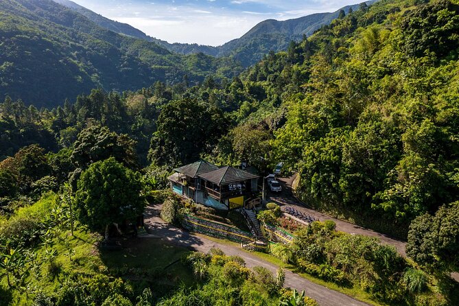 4-Hours Bike, Hike & Waterfall Tour in Blue Mountain with Lunch and Pick Up - Downhill cycling through coffee country