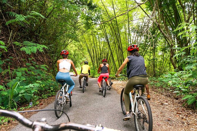 4-Hours Bike, Hike & Waterfall Tour in Blue Mountain with Lunch and Pick Up - The second ride and the waterfall finish