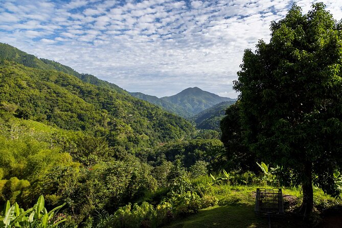 4-Hours Bike, Hike & Waterfall Tour in Blue Mountain with Lunch and Pick Up - Is $195.84 a fair price?