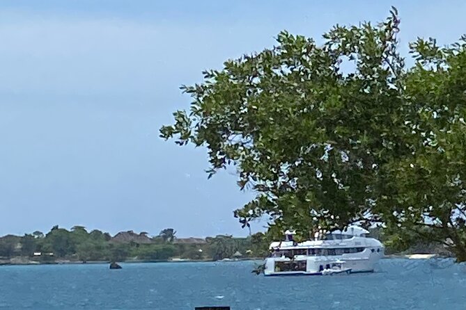 4 Hours Party Boat Catamaran Cruise in Negril - What $190 per person really covers