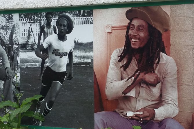6. Bob Marley 9miles/Dunn's River Private Tour(420 Friendly)final resting place - Why this Montego Bay day trip works