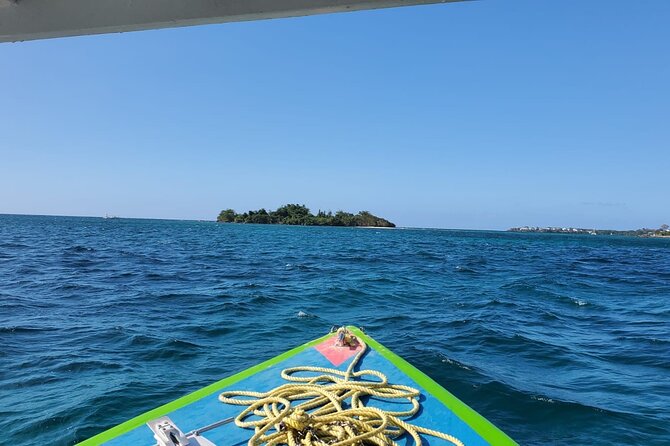 7 Miles Beach in Negril: Snorkeling, Boat Ride and Rick’s Cafe - Who should book this Negril excursion?