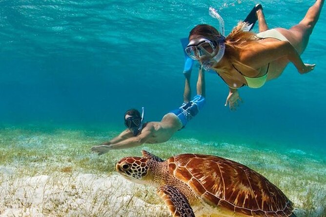 Adventurous-Snorkeling With Sightseeing of Montego Bay - Key points to know before booking