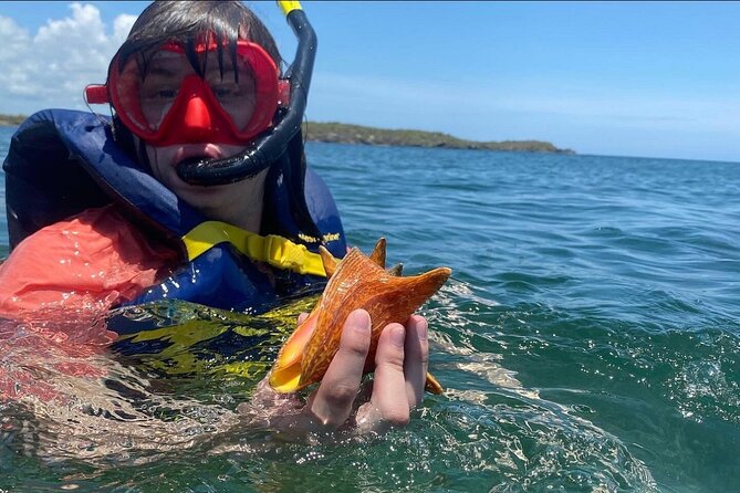 Adventurous-Snorkeling With Sightseeing of Montego Bay - Drying off, then seeing a more local Montego Bay