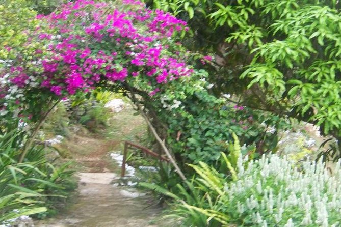 Ahhh Ras Natango Gallery and Garden Private Transfer - Is $97.44 per person a fair price?