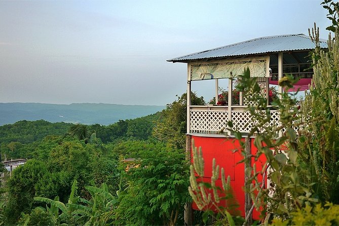 Ahhh Ras Natango Gallery and Garden Private Transfer - Who will enjoy this experience most?