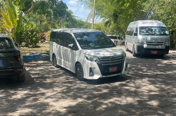 Airport Pickup, Dropoff to any Resort or Airbnb in Montego Bay - Who Will Get the Most From This Transfer