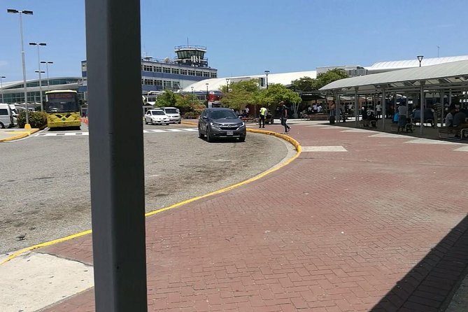 Airport Transfer MBJ Montego Bay to Kingston - Food, coconut water, and fruit along the way