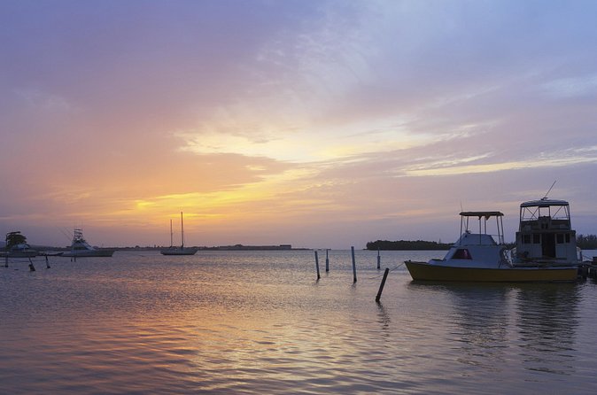 An Evening on the Lagoon: Martha Rafting, Luminous Lagoon and Falmouth Highlight - Lunch and the beach party fill out the evening