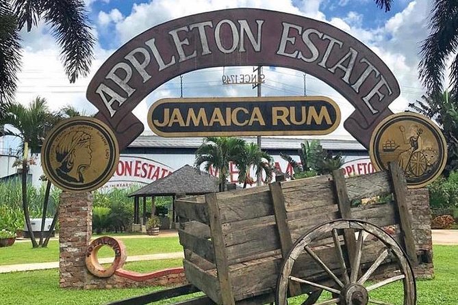 Appleton Estate Rum Private Tour - Why the private format matters