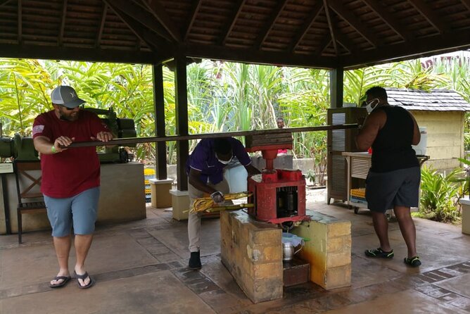 Appleton Estate Rum Tour and Pelican Bar Customize Tour - A full south coast day from Montego Bay