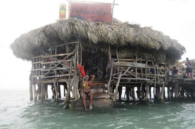 Appleton Estate Rum, YS Falls, Black River Safari / Floyd's Pelican Bar Tour - Black River Safari: choose it for nature and a slower pace