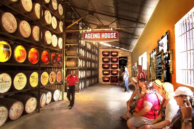 Appleton Estate, Ys Falls and Black River Safari Private Tour - Is $242.06 per person a fair price?