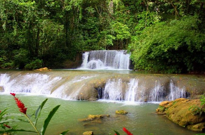 Appleton Estate, Ys Falls and Black River Safari Private Tour - Who will enjoy this day most?