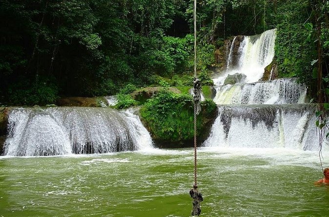 Appleton Estate, Ys Falls and Black River Safari Private Tour - Weather is the biggest risk to your plans