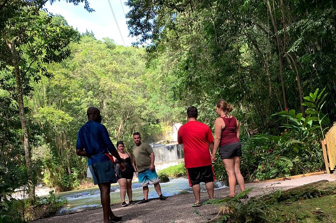 Appleton estate,YS Falls,Black River Safari,Pelican Bar(any 3of4) - YS Falls, cool water and a natural setting