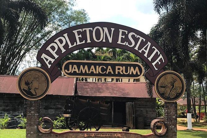 Appleton Rum Factory, YS Falls, and Reggae Horseback Ride & Swim Combo Tour - Key things to know before booking