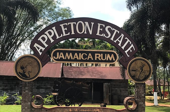Appleton Rum Factory, YS Falls, and Reggae Horseback Ride & Swim Combo Tour - The early road to Appleton Rum Factory