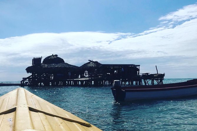 Appleton Rum Factory, Ys Falls, Black River Safari, Floyd’s Pelican Bar - A big South Coast day from Trelawny