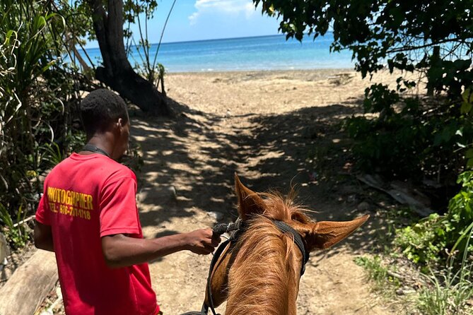 ATV, Bamboo Rafting, Horseback Ride From Montego Bay- Private - Rio Nuevo brings the quietest hour
