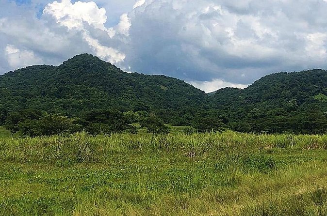 ATV Experience, cultural and social tour - Villages, local people, and Rastafari culture