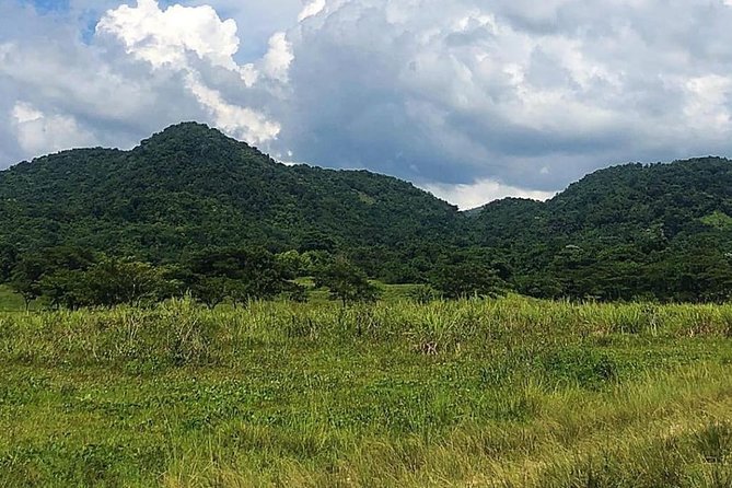 ATV Experience, cultural and social tour - Who will enjoy this Jamaican countryside tour