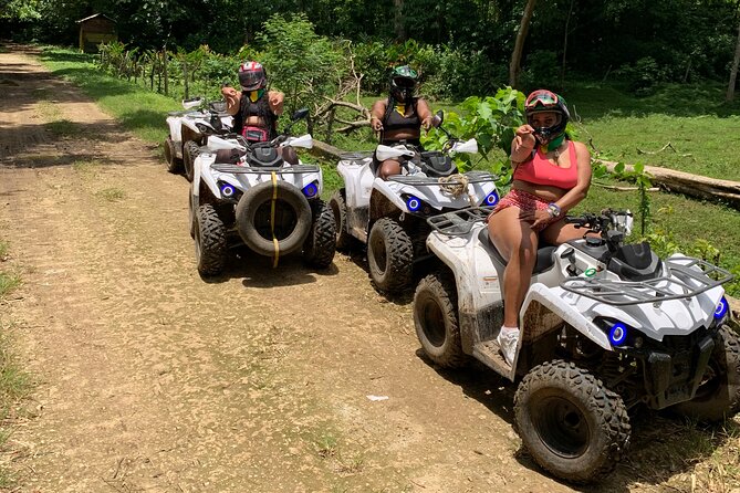 ATV Jungle Safari Tour from Montego Bay - Plants, farms, and the Jamaican countryside
