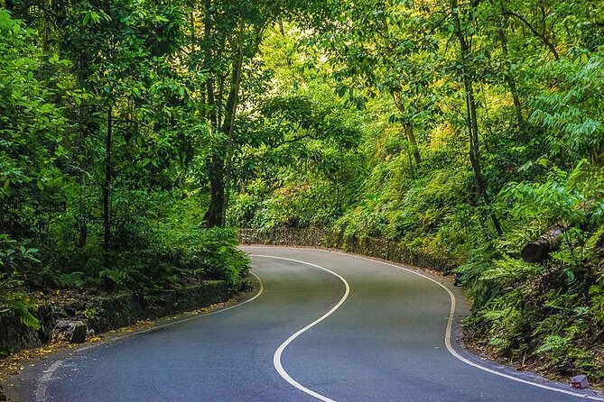 Bamboo rafting and Horseback ridding - Why this Jamaica combination works