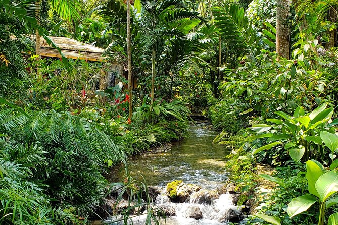 Bamboo rafting and Horseback ridding - Starting with horseback riding beside the Caribbean