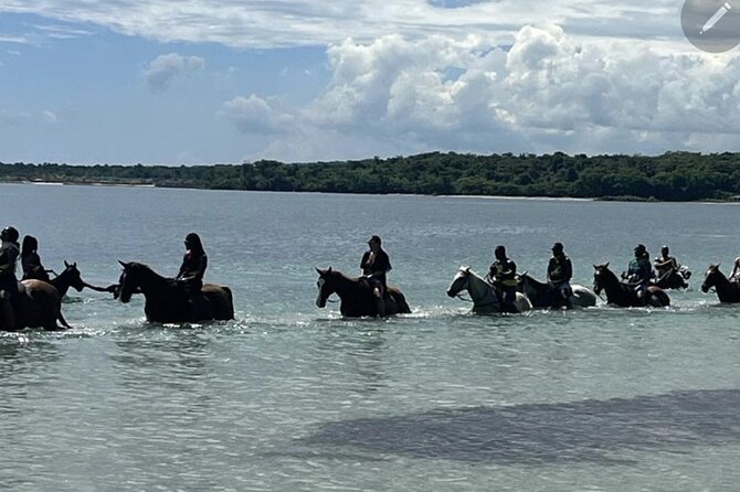 Bamboo Rafting and HorseBack Riding Excursion in OchoRios Jamaica - Two Jamaican scenes in one half-day