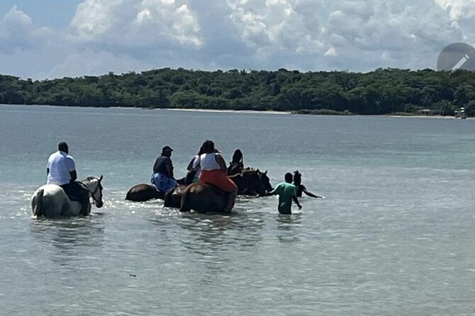 Bamboo Rafting and HorseBack Riding Excursion in OchoRios Jamaica - The ride from Ocho Rios with Michael or Desmond