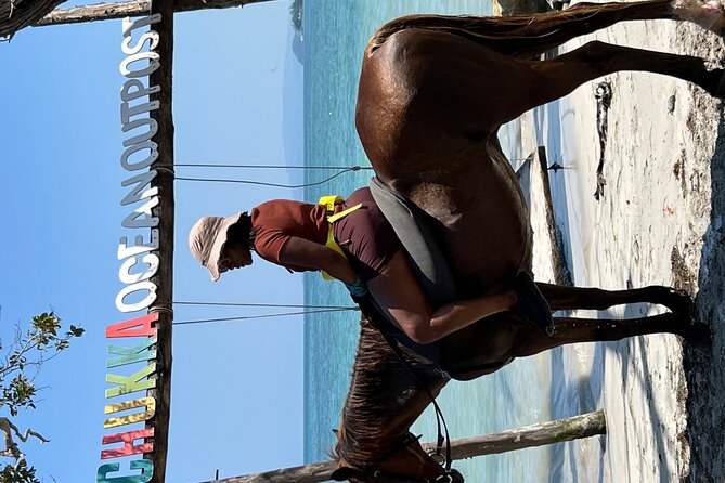 Bamboo Rafting & Horseback -dunns river Transportation Included - Pickup at 8:00 a.m. and the practical details