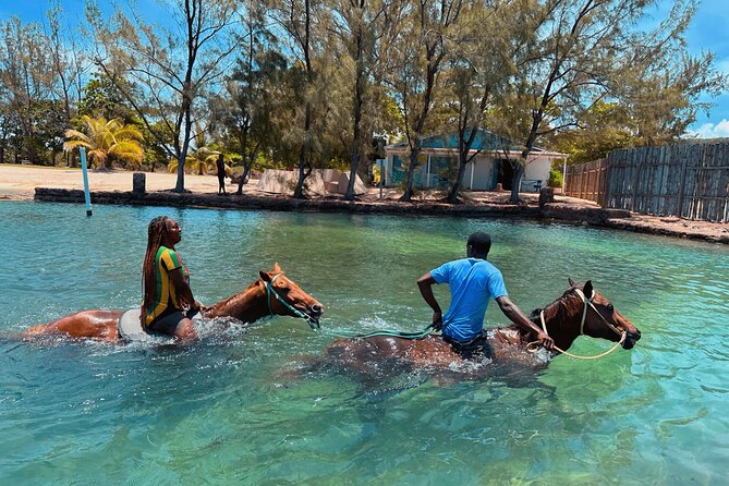 Bamboo Rafting & Horseback Ride n Swim Guided Tour In Montego Bay - The bareback horse swim in the Caribbean Sea