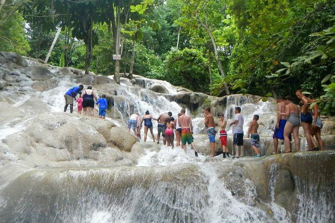 Beach Horseback Riding and Dunn’s River Falls - Who will enjoy this best