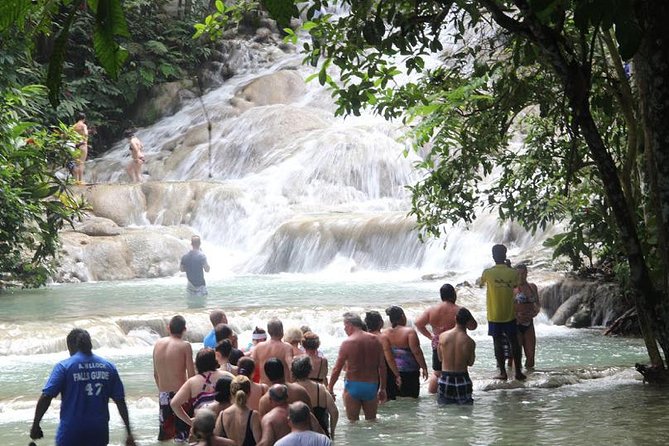 Beach Horseback Riding and Dunn’s River Falls - Small details that can shape the day