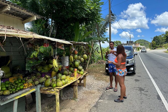 Benta River & Falls Private Tour From Montego Bay - Following the Westmoreland route from Montego Bay
