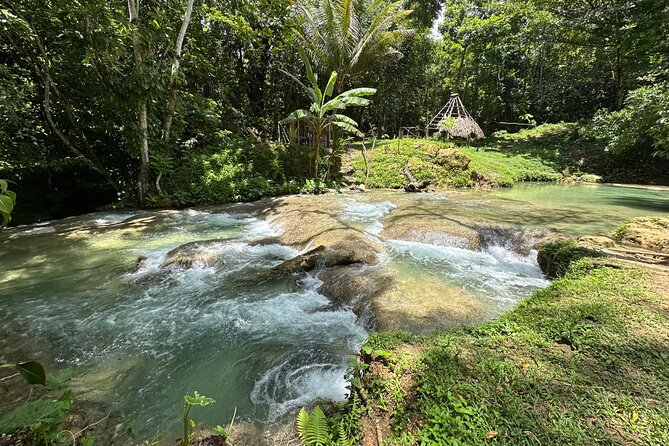 Benta River & Falls Private Tour From Montego Bay - What the private arrangement really changes