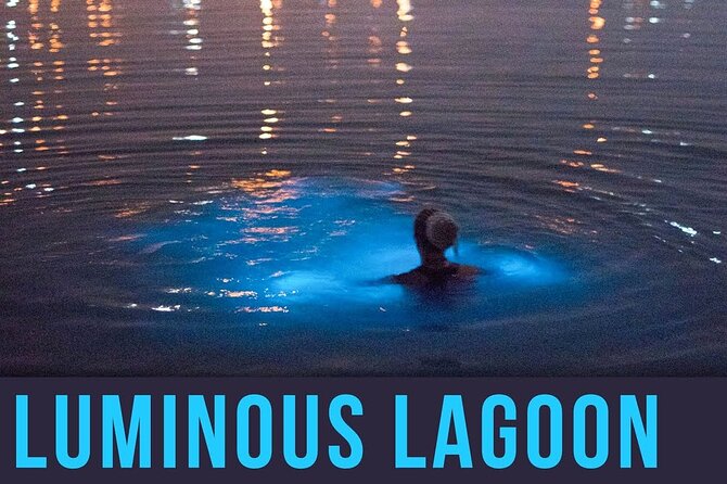 Bioluminescence Lagoon Tour from Montego Bay with Pick Up - The glow is natural, so conditions matter