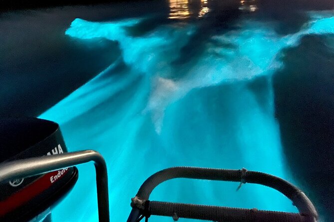 Bioluminescence Lagoon Tour from Montego Bay with Pick Up - Is the $105 price good value?
