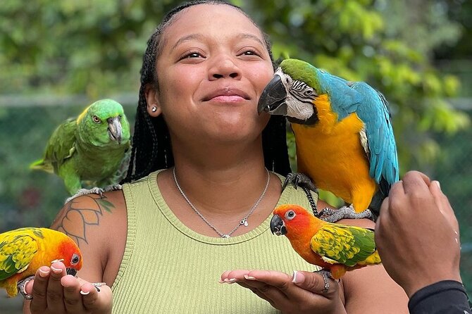 Bird Sanctuary and animal farm Day Tour - Close-up birds at Rockland Bird Sanctuary