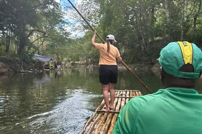 Bird Sanctuary and/or Lethe Bamboo Rafting from Montego Bay - Rocklands Bird Sanctuary and the sugar-syrup bottle