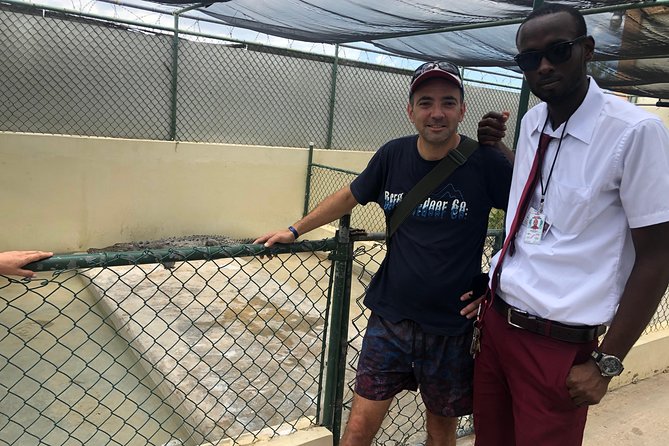 Black River Safari and YS Falls - Why pair a crocodile safari with YS Falls?
