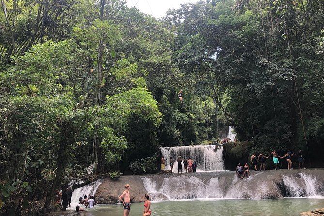 Black River Safari and YS Falls - Booking, weather, and cancellation details