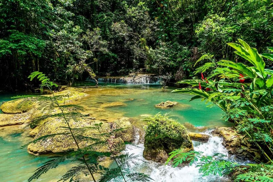 Black River Safari and Ys Falls Tour and Transportation - Is $233 per person fair?