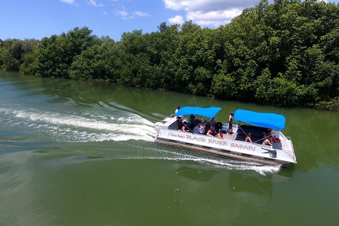 Black River Safari and YS Water Falls - Key points to know before you book